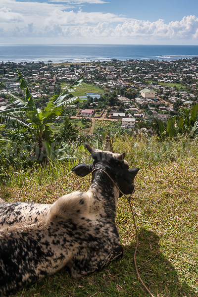 The city of Antalaha