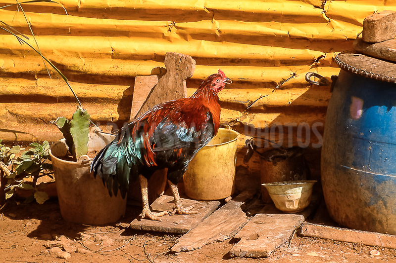 On the road to Ramena in Diego Suarez (Antsiranana)