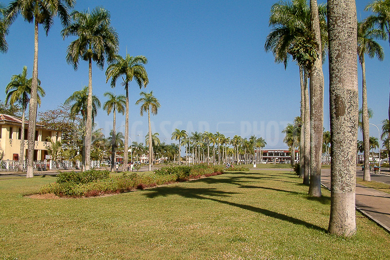 The avenue of Indépendance in Tamatave (Toamasina)