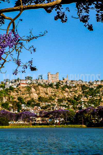 The Rova and the jacarandas